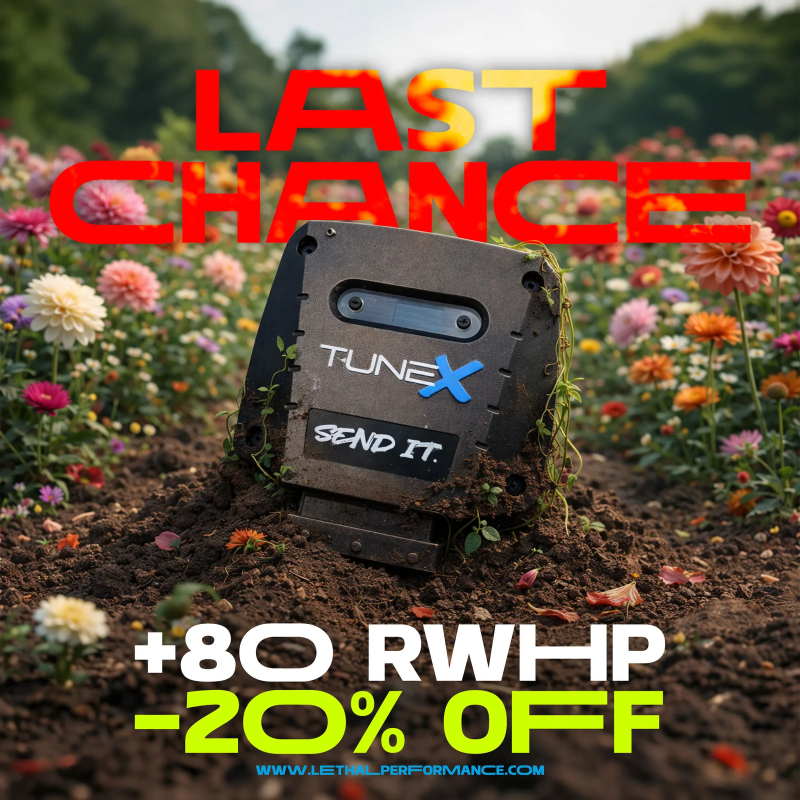 last chance 3 tunex spring sale.webp
