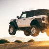 DesertChief 🏆 September 2023 Bronco Raptor of the Month Winner