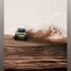 Scottweisen 🏆 November 2023 Bronco Raptor of the Month Winner