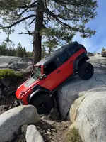 Photo contest thumbnail