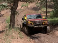 Photo contest thumbnail