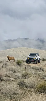 Photo contest thumbnail