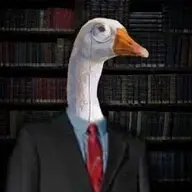 businessgoose