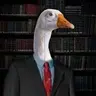 businessgoose