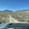 RallyRaptor