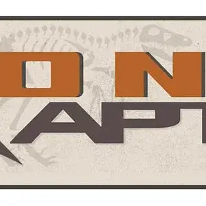 braptor-logo4.jpg