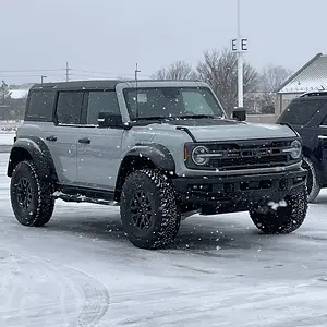 bronco-raptor-cactus-grey-snow.jpg