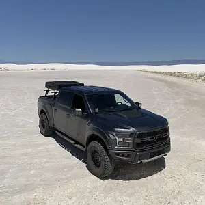 Raptor at White Sands.jpg
