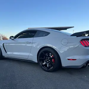 GT350R 1.jpg