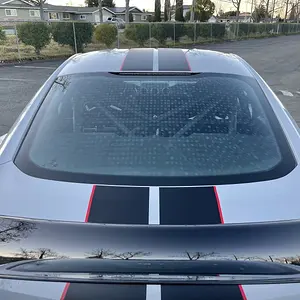 GT350R 2.jpg
