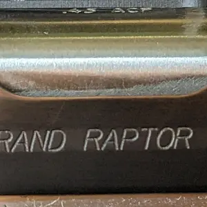 Raptor (2).jpeg