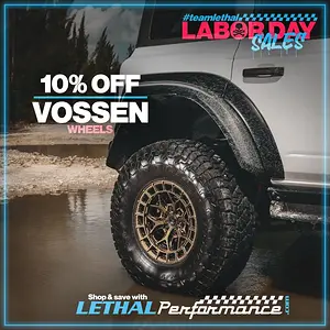 vossen_bronco2.jpeg