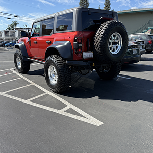 BRAPTOR Rear.webp