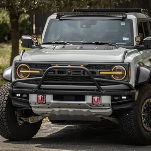 Bronco2.webp
