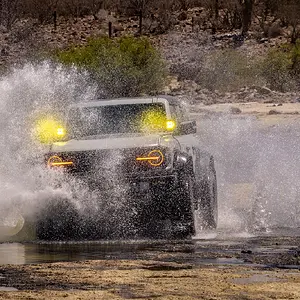 6N1A0769-2_Original.webp
