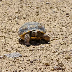 20250518_121709.webp