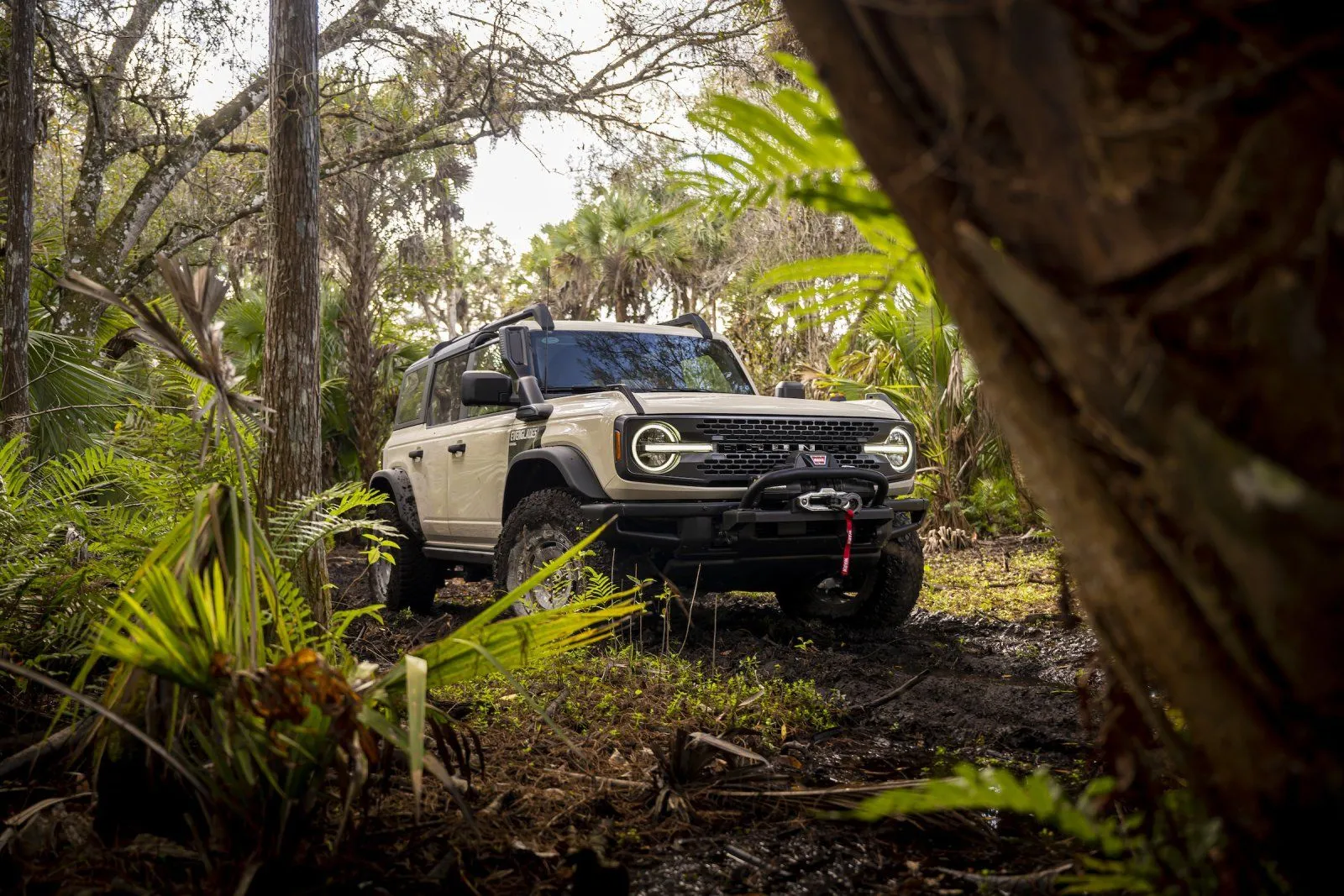 2022 Ford Bronco Everglades_Desert Sand-release1.jpg