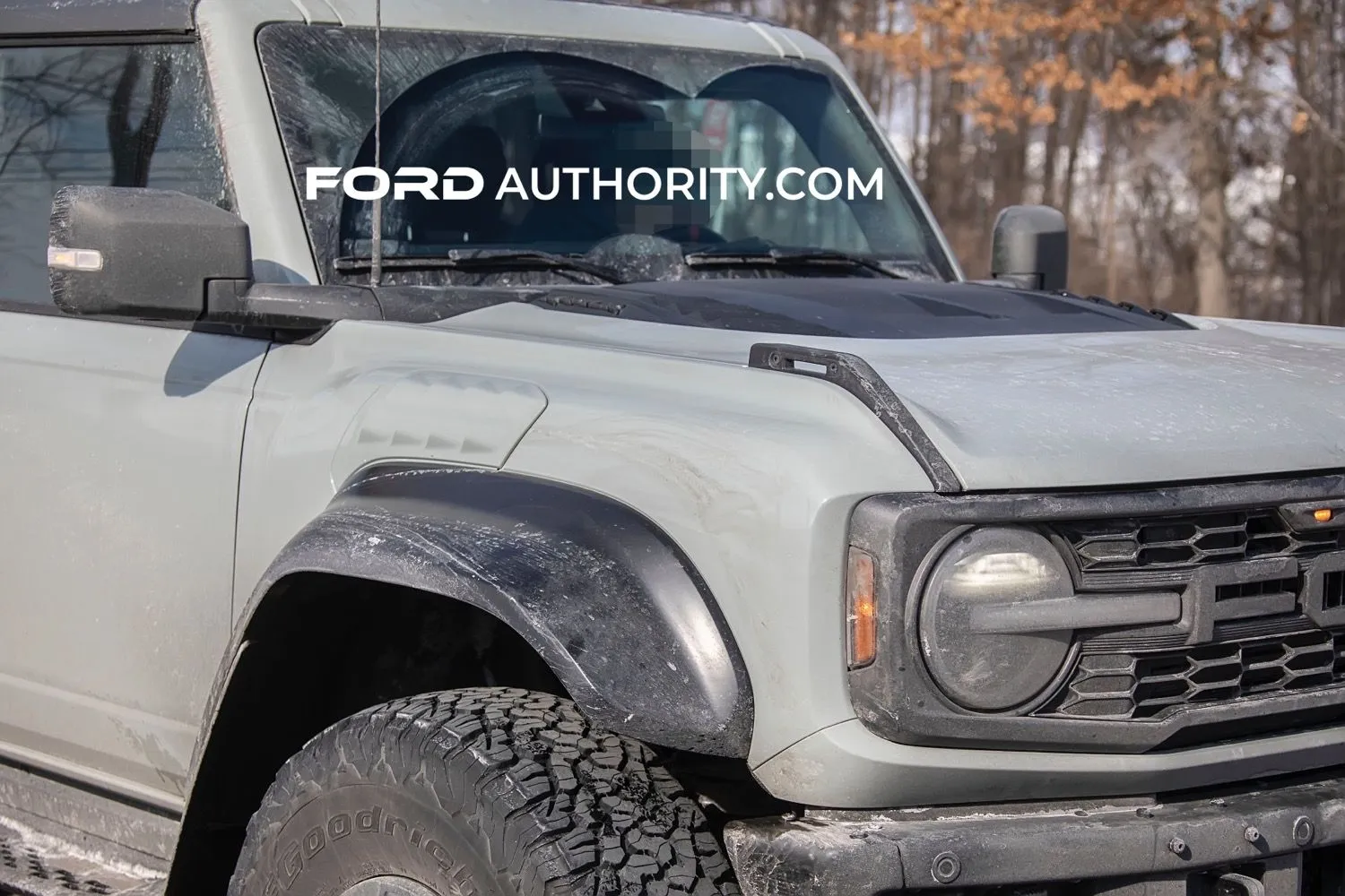 2022-ford-bronco-raptor-cactus-gray-real-world-photos-exterior-013.jpg