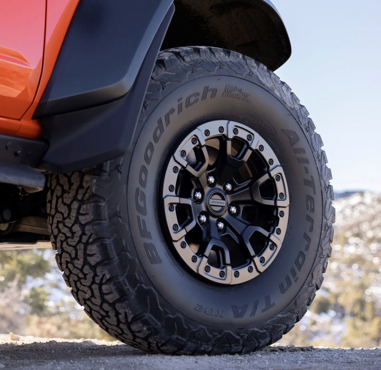 2022 Ford Bronco Raptor_details_08C.jpg