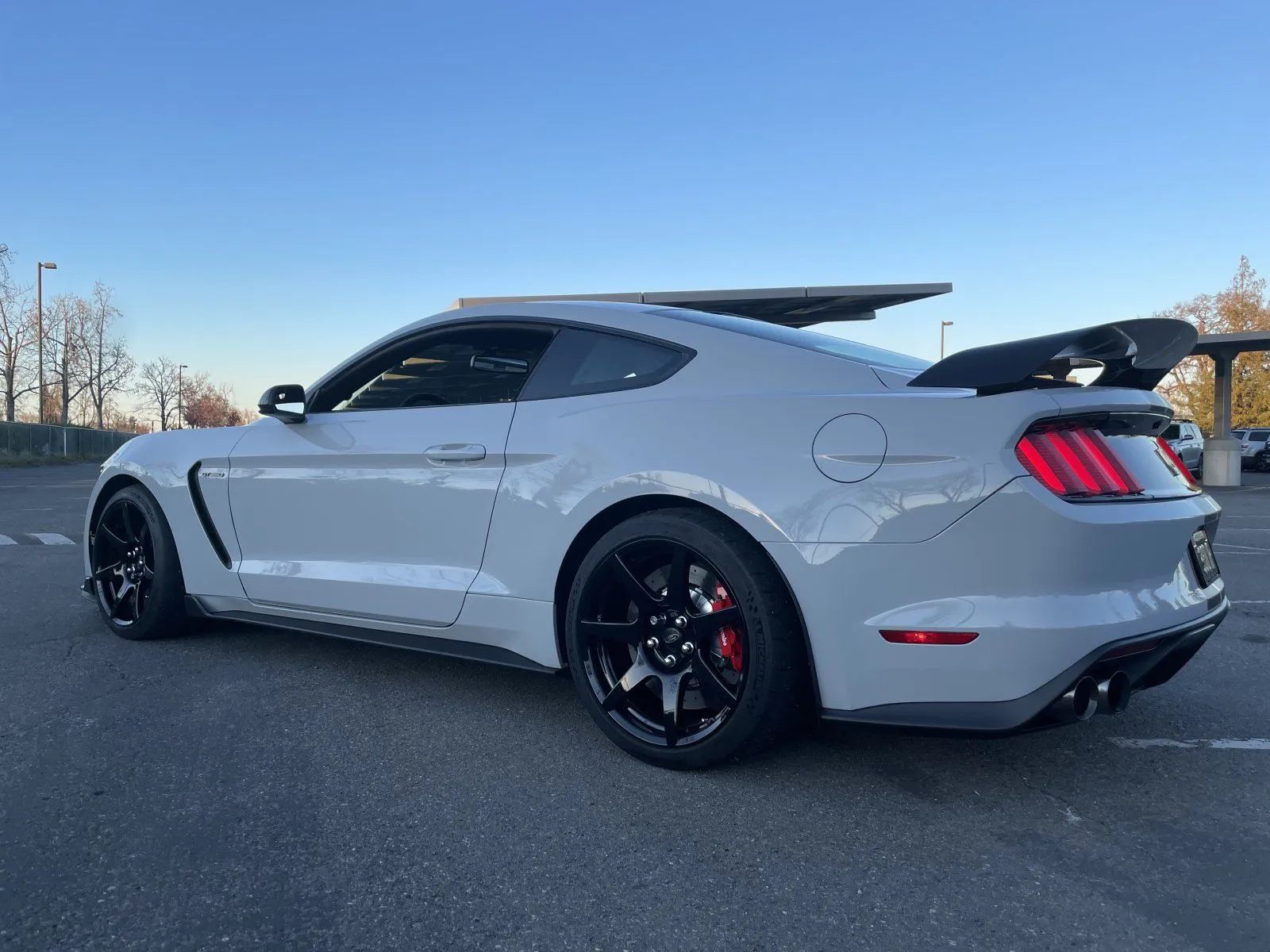 GT350R 1.jpg