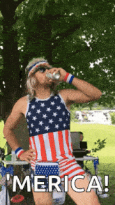 merica-america.gif
