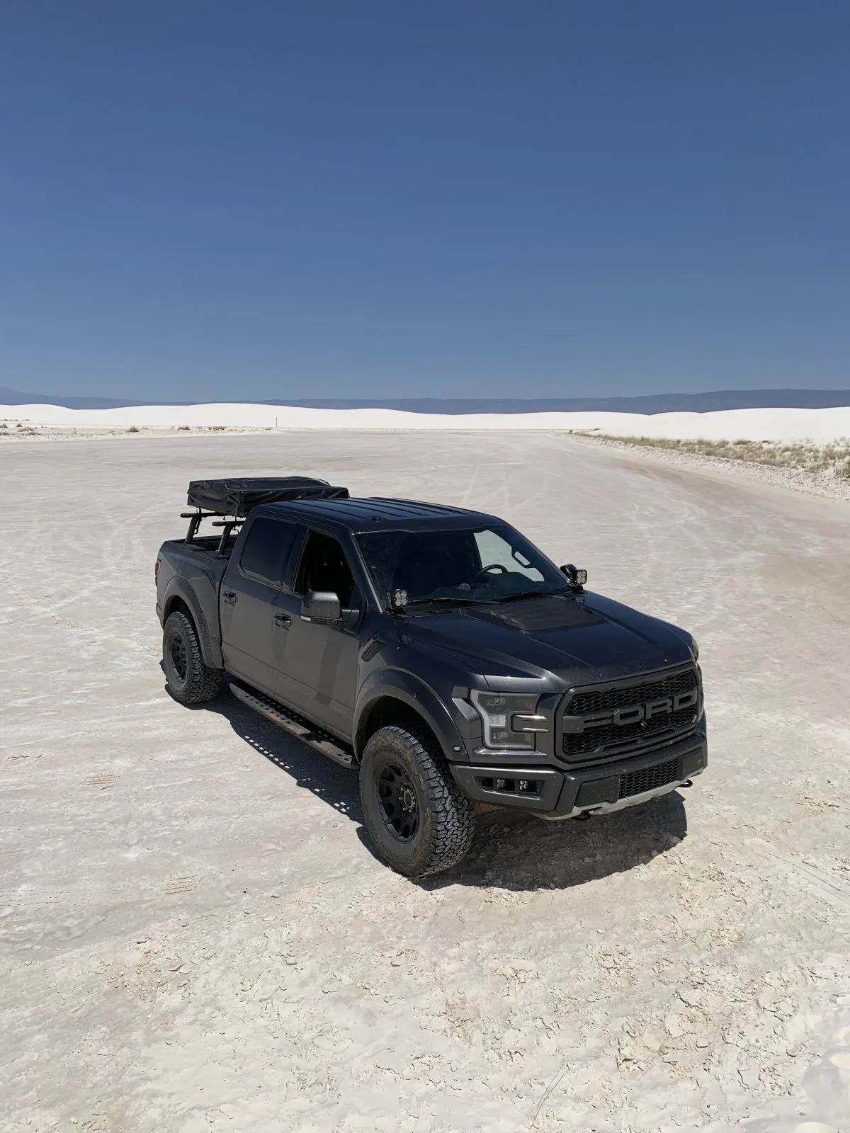 Raptor at White Sands.jpg