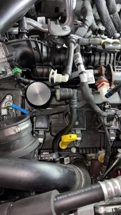 ezgif.com-gif-maker (1).jpg